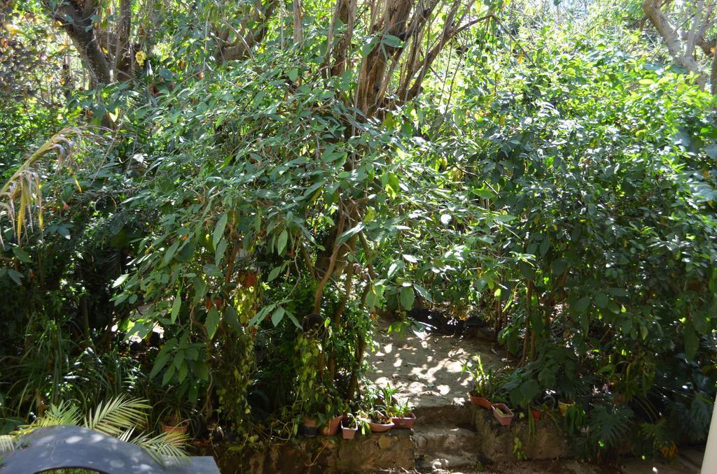 Hotel Bio Calli Tlayacapan Quarto foto